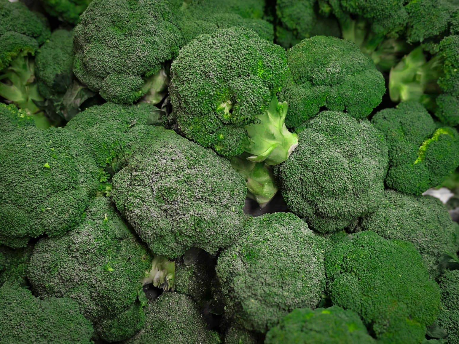 Here is an article title